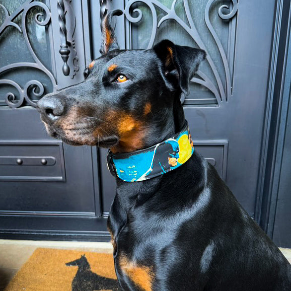 The BCW Limited Collar - SJB-DIAMOND ELITES