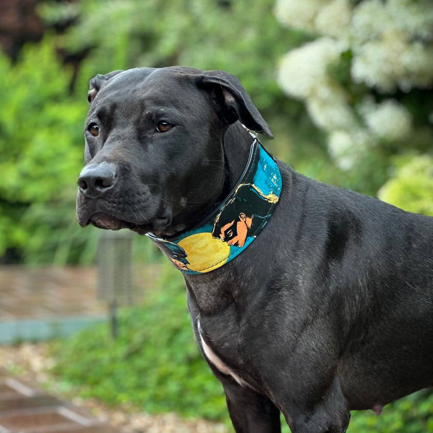 The BCW Limited Collar - SJB-DIAMOND ELITES
