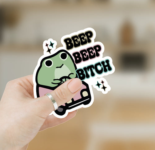 Funny Vinyl Sticker Pack Waterproof Decals For Water Bottle Laptop Journal Luggage Pack BandsCo Straps