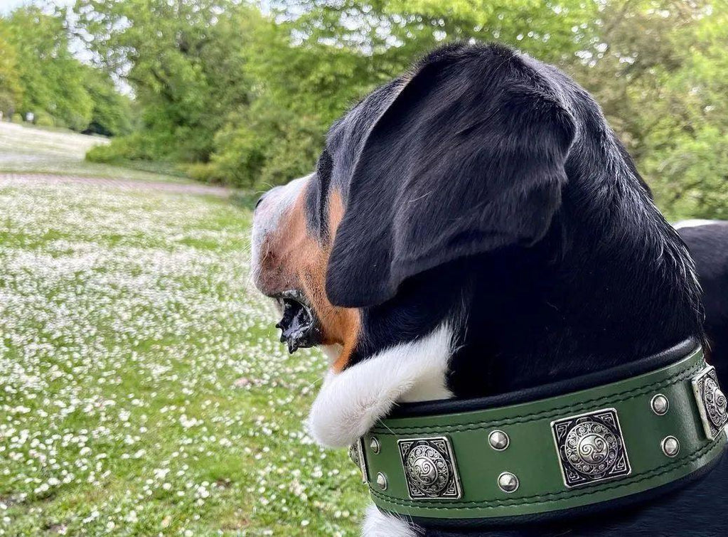 The "Eros" collar 2.5 inch wide Green - SJB-DIAMOND ELITES