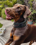 ''BATMAN'' collar - SJB-DIAMOND ELITES