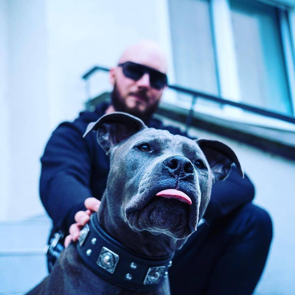 The all Black "Eros" collar 2.5 inch wide - SJB-DIAMOND ELITES