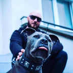 The all Black "Eros" collar 2.5 inch wide - SJB-DIAMOND ELITES