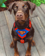 Superdog Harness Bestia Dog Gear
