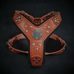 The ''Maximus'' harness brown & silver Small to Medium Size - SJB-DIAMOND ELITES