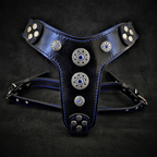 The ''Bijou'' harness Black & Blue Small to Medium Size - SJB-DIAMOND ELITES