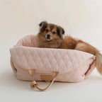 Pet Handbag Outdoor Cat Handbag Pi-Mart