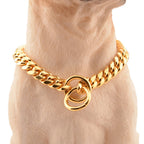 Gold Link Chain Collar for Dogs Pi-Mart