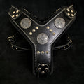 The "Maximus" silver harness - SJB-DIAMOND ELITES