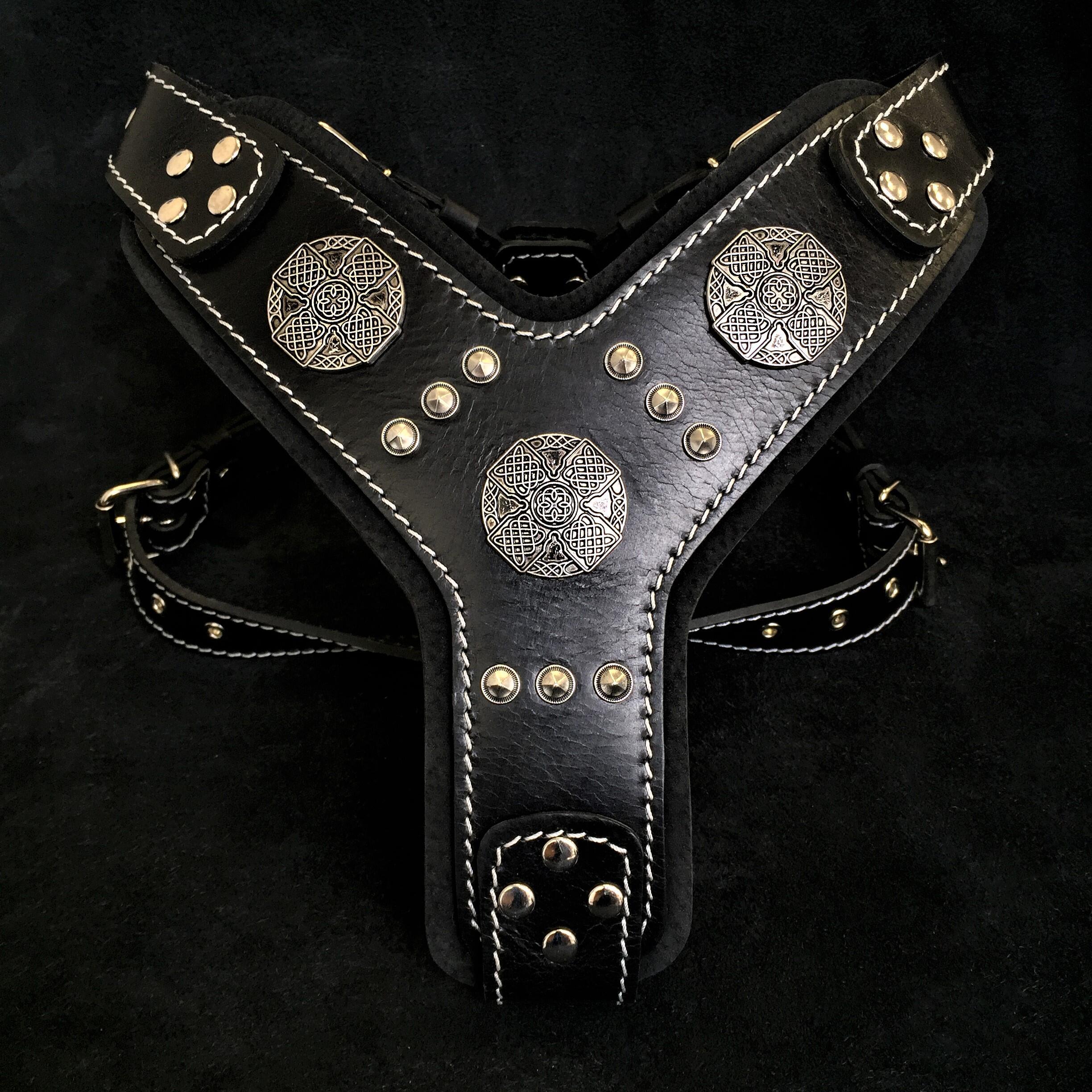 The "Maximus" silver harness - SJB-DIAMOND ELITES