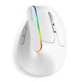 Black Wireless Ergonomic Mouse Vertical 1600 DPI Button Gaming Mouse RGB Optical USB Mice For PC And Laptop 2.4Ghz Stevvex