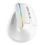 Black Wireless Ergonomic Mouse Vertical 1600 DPI Button Gaming Mouse RGB Optical USB Mice For PC And Laptop 2.4Ghz Stevvex