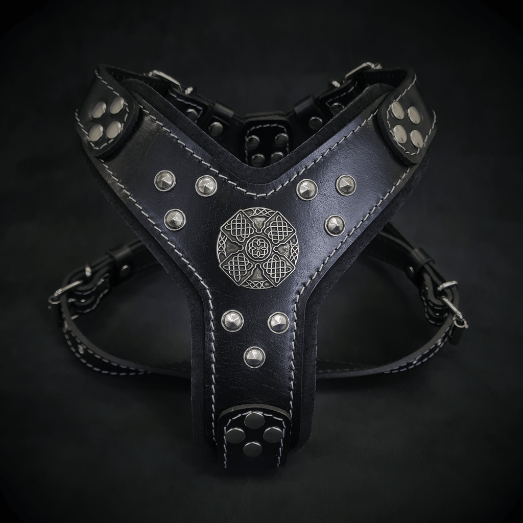 The ''Maximus'' harness black & silver Small to Medium Size - SJB-DIAMOND ELITES