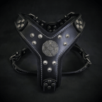 The ''Maximus'' harness black & silver Small to Medium Size - SJB-DIAMOND ELITES