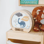 Boy Dinosaur Night Light - SJB-DIAMOND ELITES