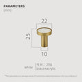 Brass Hooks Shell Nordic Pastoral White Gold Bathroom Indoor Kitchen Hallway Wall Clothes Hooks Wall Hangings Row Hooks Mounted Robe Clothes Hanger Wall Door Kitchen Hook Golden Hanging Wall Décor Stevvex