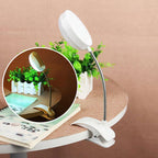 Bright LED Table Lamp Study Desk Reading Book Lamp Eye-care Bedside Bedroom Battery Desk Light For Student Office LED Stand Decorative Table Lamp Cute Study Lamps for Bedroom Décor Stevvex