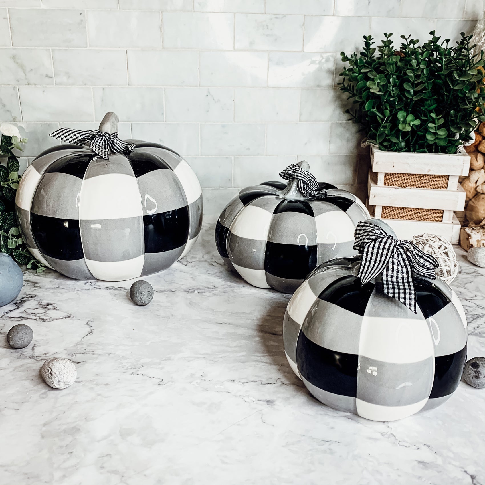 Buffalo Check Pumpkin Hand-Painted Black White Gingham Fall Halloween Decor BandsCo Straps