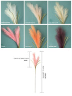 Bulrush Artificial Pampas Grass Phragmites 100cm Popular Natural Dried Small Pampas Grass For Wedding Flower Bunch Floor Vase Filler for Living Room Kitchen Decor Stevvex