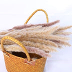 Bulrush Natural Dried Flowers Artificial Branch Pampas Grass Phragmites Fake Flower Wedding Home Decoration Christmas Decor Stevvex