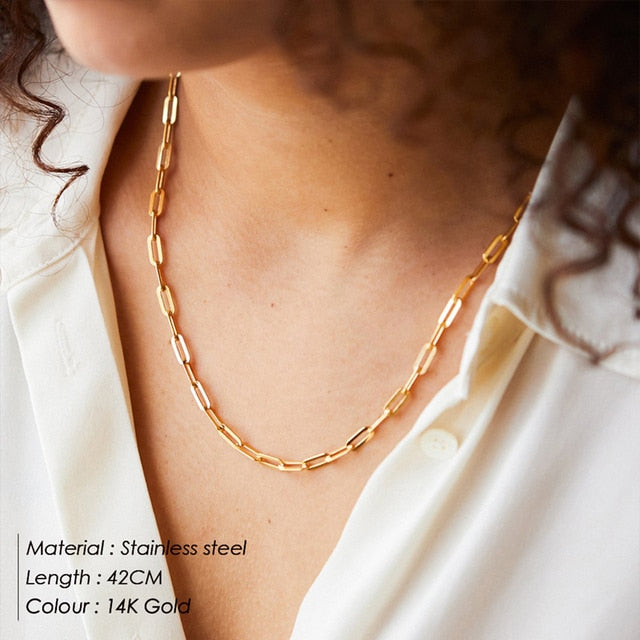 Paperclip Stainless Steel Necklace Pi-Mart