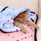 1pc Ultra-Soft Coral Fleece Pet Blanket - Cozy Flannel Cartoon Dog Throw - Ideal for Couch Snuggling & Puppy Comfort