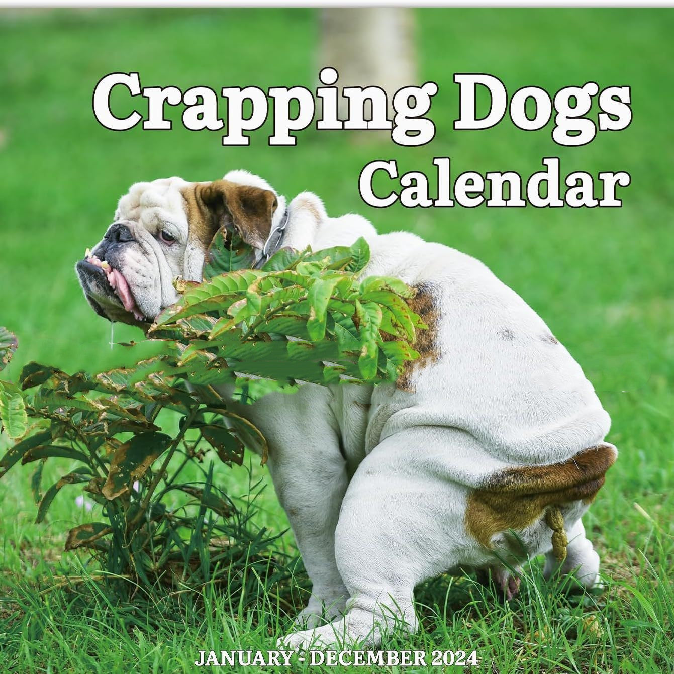 New Year Dog Poop Calendar Pi-Mart