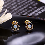 Women's Zircon Anti Allergy Earrings Pi-Mart