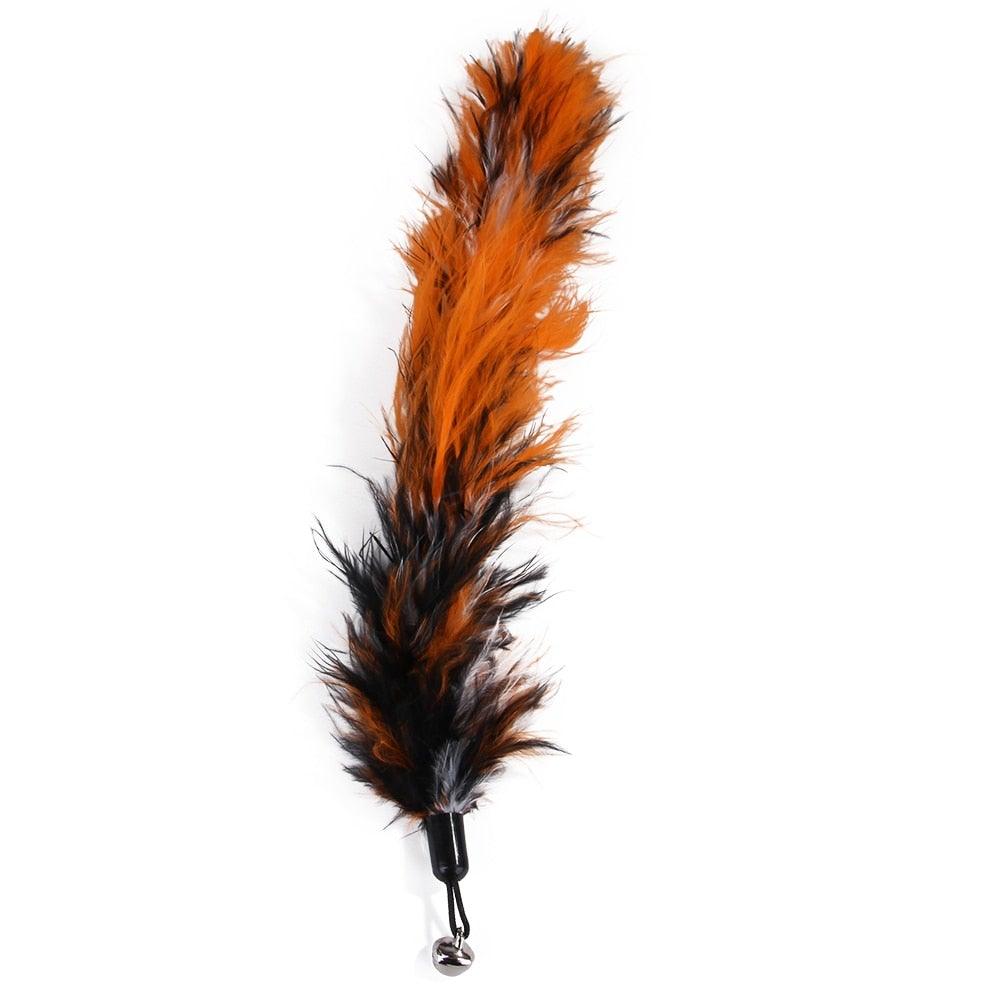 Cat Feather Toy Set Cat Feather Teaser Wand Toy for Kitten Cat Having Fun Exercise Playing Without the Stick Interactive Cat Feather Toys  Retractable Cat Wand Toy and Feathers Teaser Refills Cat Toys for Indoor Stevvex