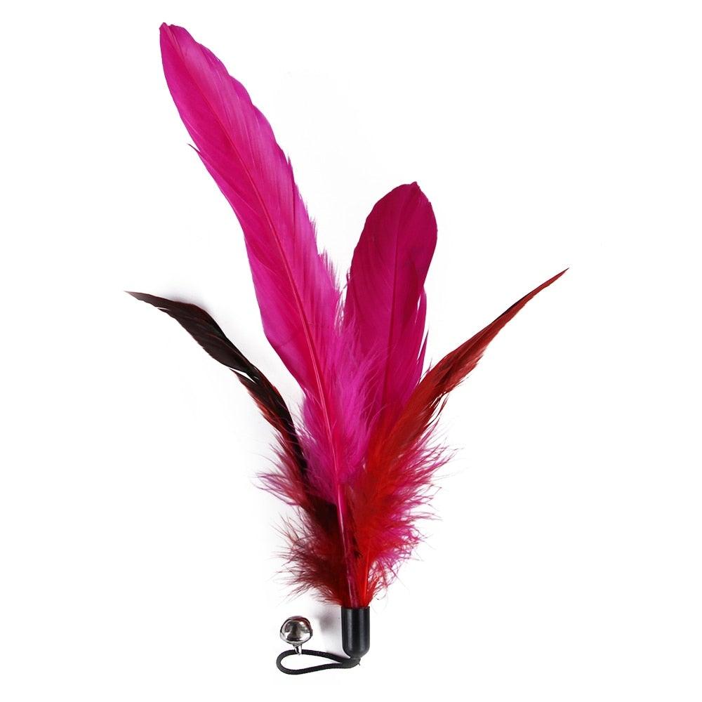 Cat Feather Toy Set Cat Feather Teaser Wand Toy for Kitten Cat Having Fun Exercise Playing Without the Stick Interactive Cat Feather Toys  Retractable Cat Wand Toy and Feathers Teaser Refills Cat Toys for Indoor Stevvex