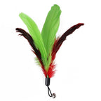 Cat Feather Toy Set Cat Feather Teaser Wand Toy for Kitten Cat Having Fun Exercise Playing Without the Stick Interactive Cat Feather Toys  Retractable Cat Wand Toy and Feathers Teaser Refills Cat Toys for Indoor Stevvex