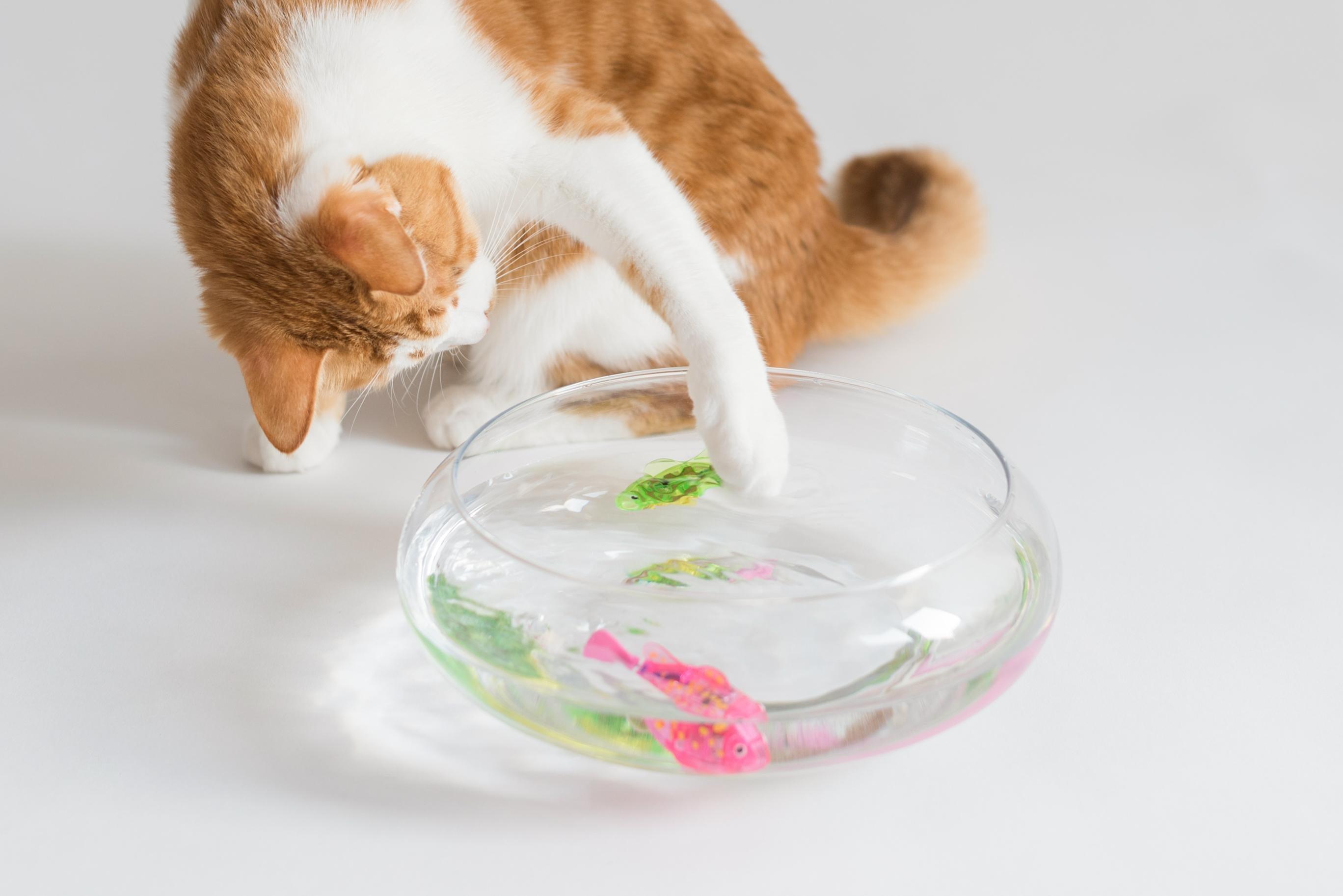 Cat Interactive Electric Fish Toy Water Cat Toy for Indoor Play Swimming Robot Fish Toy for Cat and Dog with LED Light  Pet Toys New Bath Toys Interactive Plastic Fish Toys Electronic Cat Toy Gift to Stimulate Your Pet's Hunter Instincts Stevvex