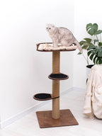 Small Cat Tree