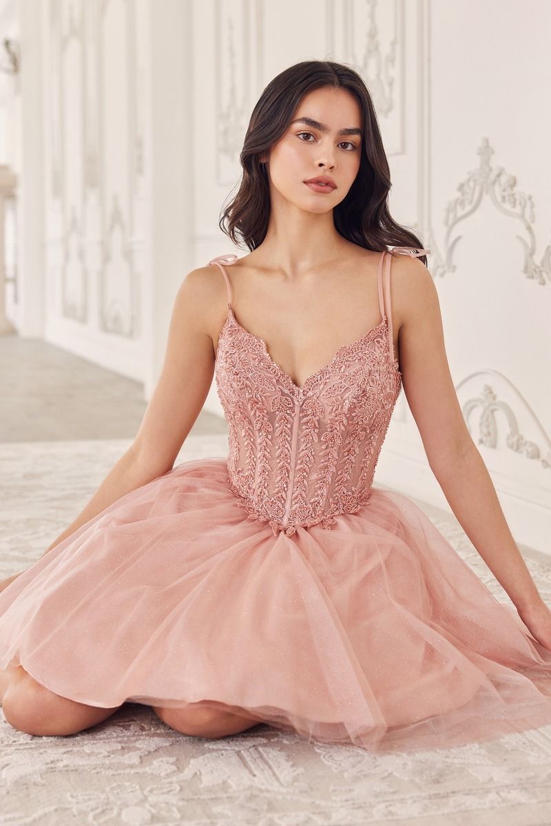 Short A-Line Tulle Dress Purplish Diva