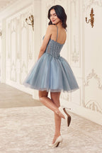 Short A-Line Tulle Dress Purplish Diva