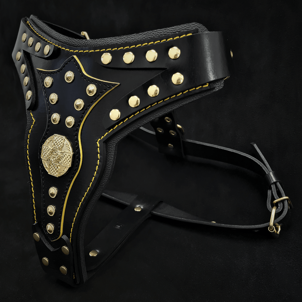The "Maximus" harness V2 - SJB-DIAMOND ELITES