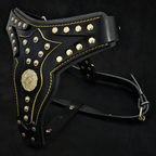 The "Maximus" harness V2 - SJB-DIAMOND ELITES