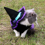 Christmas Enchanter Pet Halloween Dog Costume Lootquake LLC