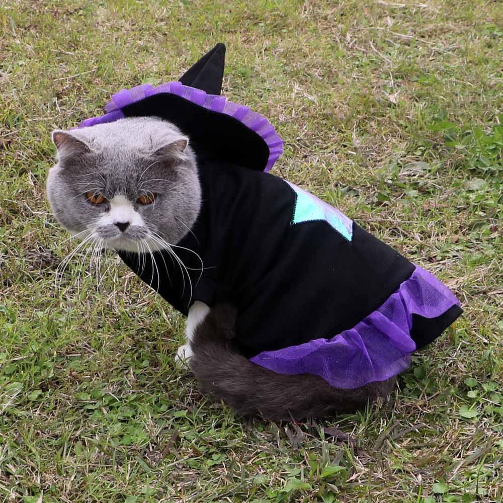 Christmas Enchanter Pet Halloween Dog Costume Lootquake LLC