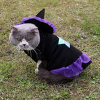 Christmas Enchanter Pet Halloween Dog Costume Lootquake LLC