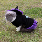 Christmas Enchanter Pet Halloween Dog Costume Lootquake LLC