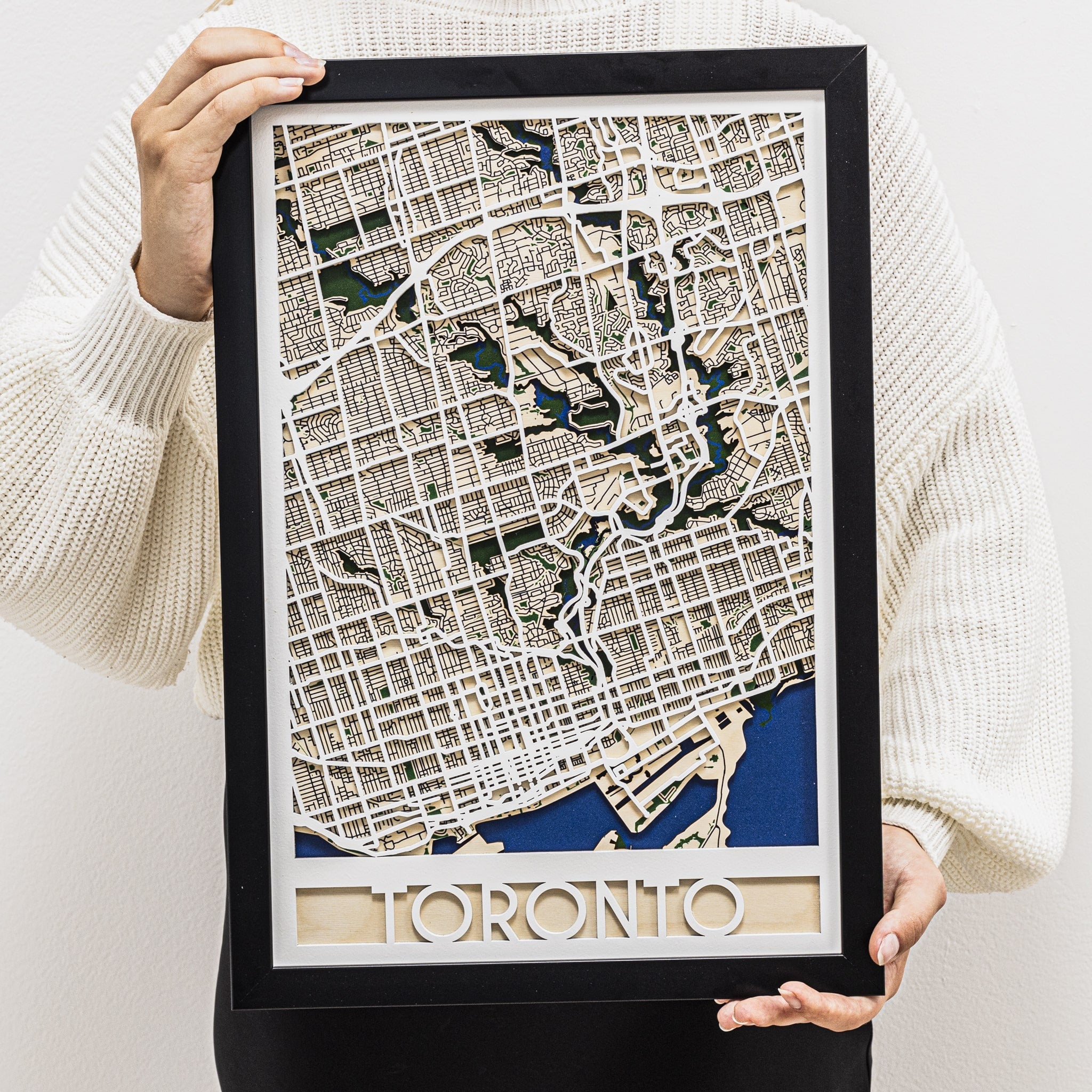 3D City Map Toronto