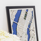 3D City Map New York Enjoy The Wood