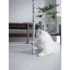 Colorful Rod Wand Feather Teaser Exerciser For Cats Soft Funny Interactive Toy For Pets Cute Cat Accessories Stevvex