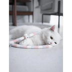 Colorful Rod Wand Feather Teaser Exerciser For Cats Soft Funny Interactive Toy For Pets Cute Cat Accessories Stevvex