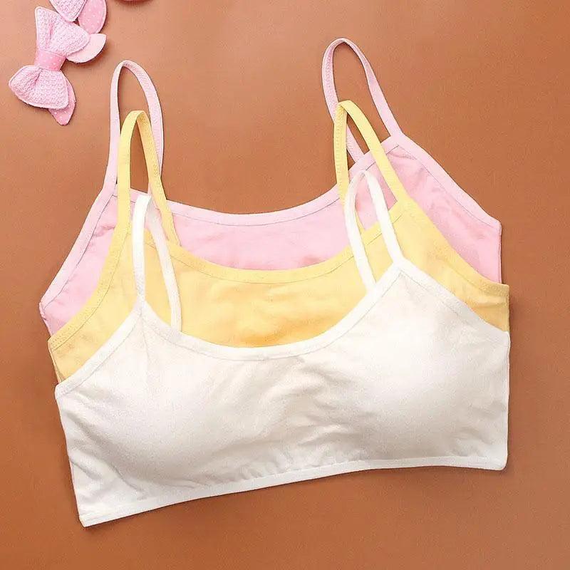 Comfortable Women's Sports Bra Push Up Running Bra Tops Girls Full Cup Seamless Underwear Training Bras Sport, Yoga, Gym, Sport Bras Stevvex