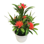 Creative Mini Artificial Fake Flower Potted Bonsai for Christmas New Year Wedding Party Garden Resturant Table Home Decor Mini Potted Plastic Succulents for Home Office Room Decor Stevvex