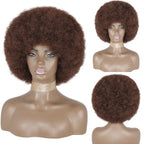 Cute Afro Wig Women Short Fluffy Hair Wigs with Bangs For Black Women Kinky curly Synthetic Hair For Party Dance Cosplay Wigs For Black Women Cosplay Wigs For Women Stevvex