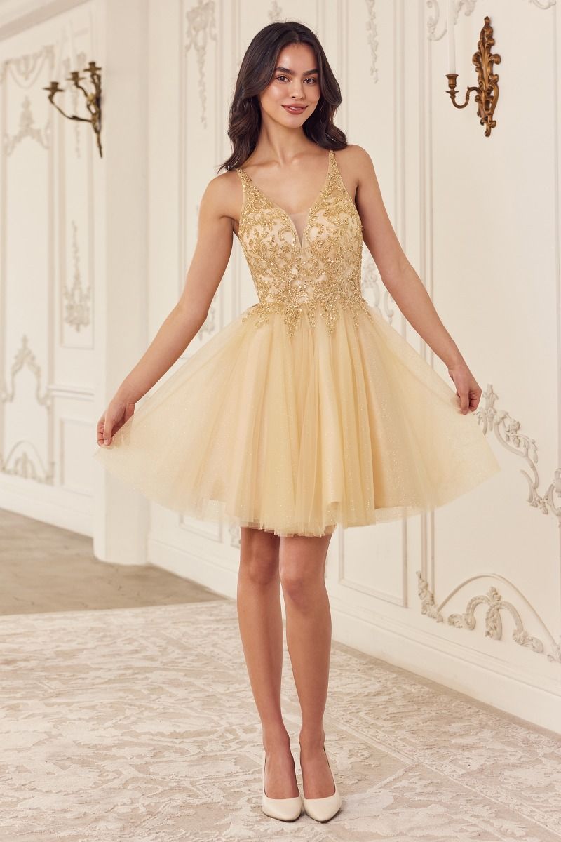 Beaded A-Line Layered Tulle Short Dress Purplish Diva