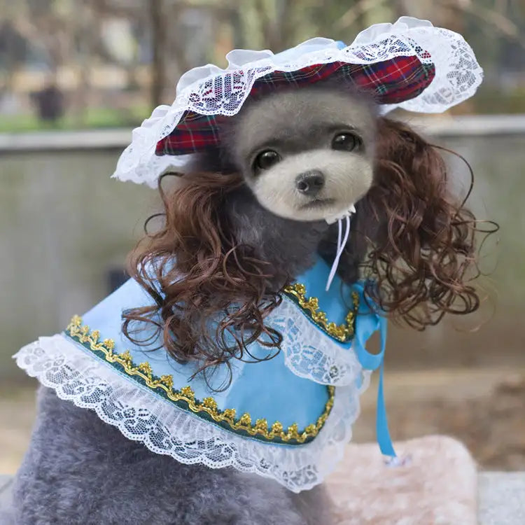 Christmas Pet Clothes Funny   Pet Clothing Apparel